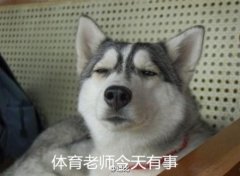 ʦЩͷƭô..