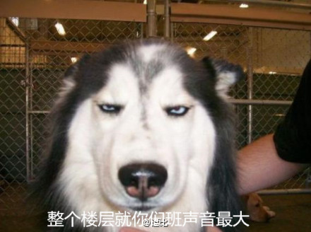 ʦƭ˿ͷ