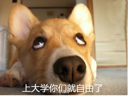 ʦƭ˿ͷ