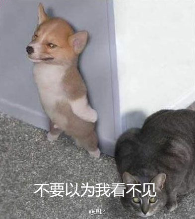 ʦƭ˿ͷ