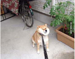 ǹĸ