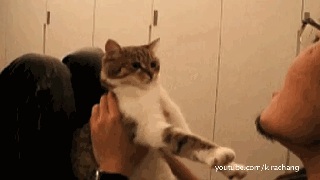 Цgif
