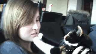 Цgif