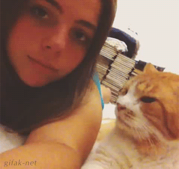 Цgif