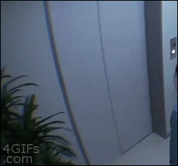 綯̬ͼ