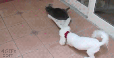 ègif