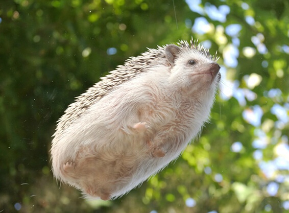 ɰͼƬ