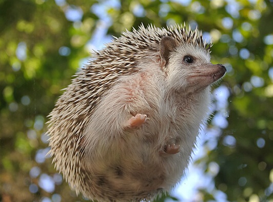 ɰͼƬ