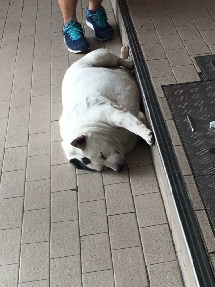 ڹ