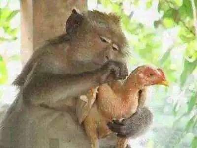 ңңң......