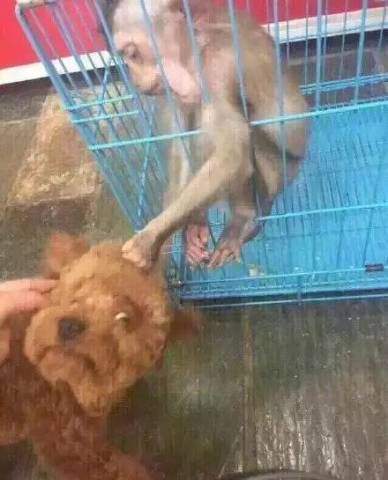ͷɶϣͲң ֵľǾͷ