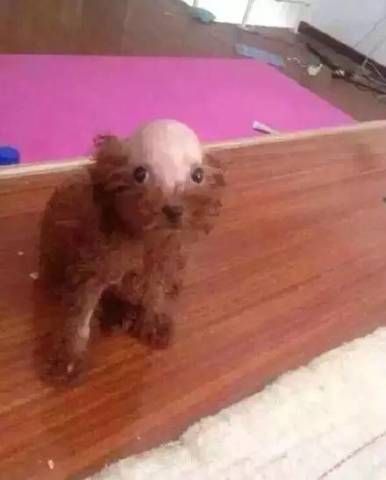 һһѣ˳ͺư  ɳкл оڹǻ첻ȥ