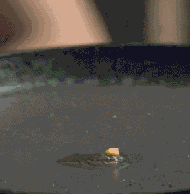 ͷд̬ͼ