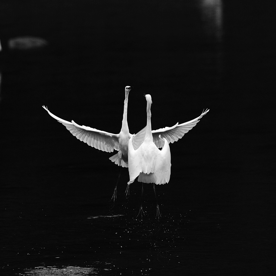 ˮϰͼƬ