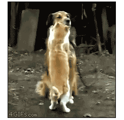 ˹ؼʱ...