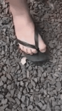 ŵıӱ˸Цgif