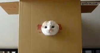 ߾èֽʱ