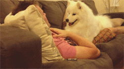 ˼ҵĹЦgif