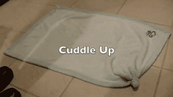 ˼ҵĹЦgif