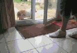 ˼ҵĹЦgif