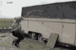 Ц̬ͼ