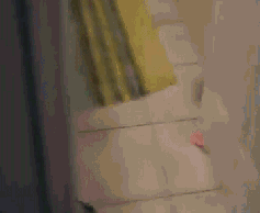 СЦgif