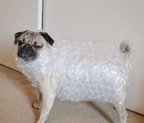 Ĺ