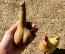 һа