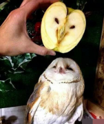 ͬҲ̫˰