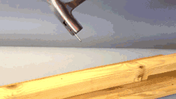 Ʒgifͼ