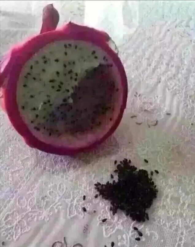 ЦԻͼƬ