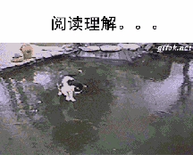 ˸Ц̬ͼ
