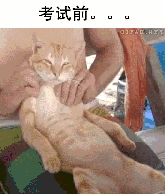 ˵Զ