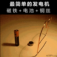 ʵ鶯̬ͼ