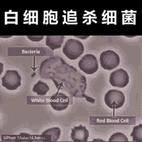 9ѧѧʵ鶯̬ͼ