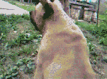 ӰЦͼ