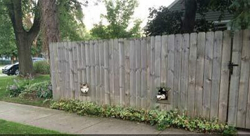 ˸ЦͼƬ