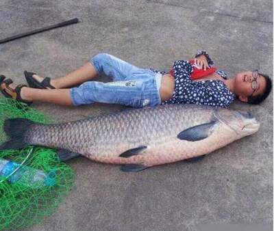 ôͼƬ