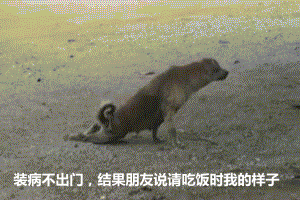 Цݵλ̬ͼ