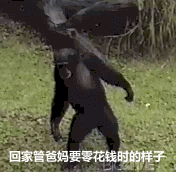 Цݵλ̬ͼ