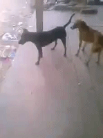 аͼ