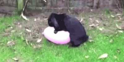 аͼ