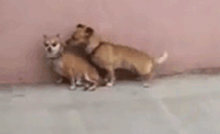 аͼ