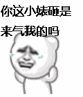qq̬