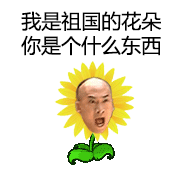 qq̬ͼ
