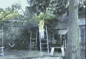 ܺӸЦ̬ͼ