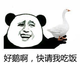qq