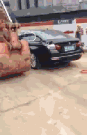 ͣЦgif