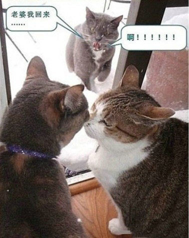ͼƬЦ