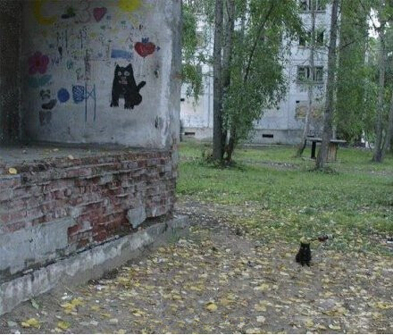 ɺϸЦͼƬ